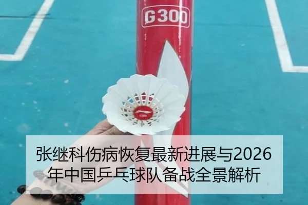张继科伤病恢复最新进展与2026年中国乒乓球队备战全景解析