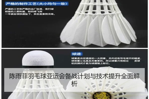 陈雨菲羽毛球亚运会备战计划与技术提升全面解析