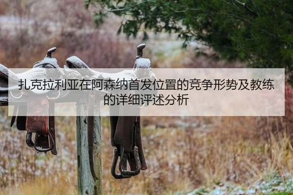 扎克拉利亚在阿森纳首发位置的竞争形势及教练的详细评述分析